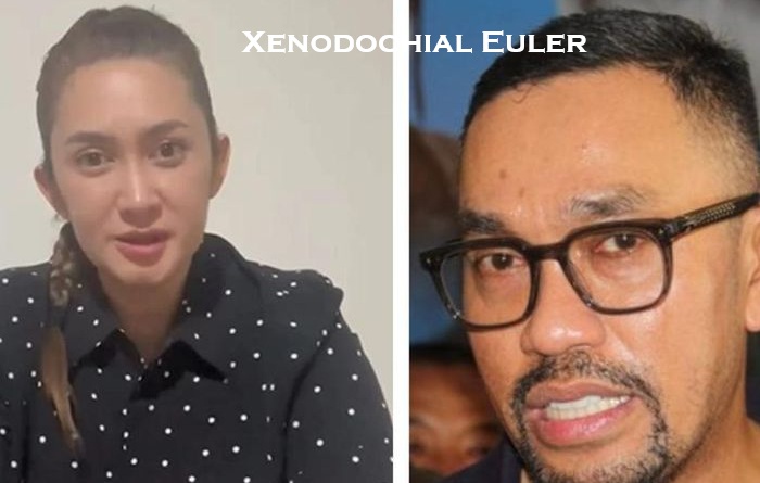 NasDem Nonaktifkan Ahmad Sahroni dan Nafa Urbach dari DPR RI
